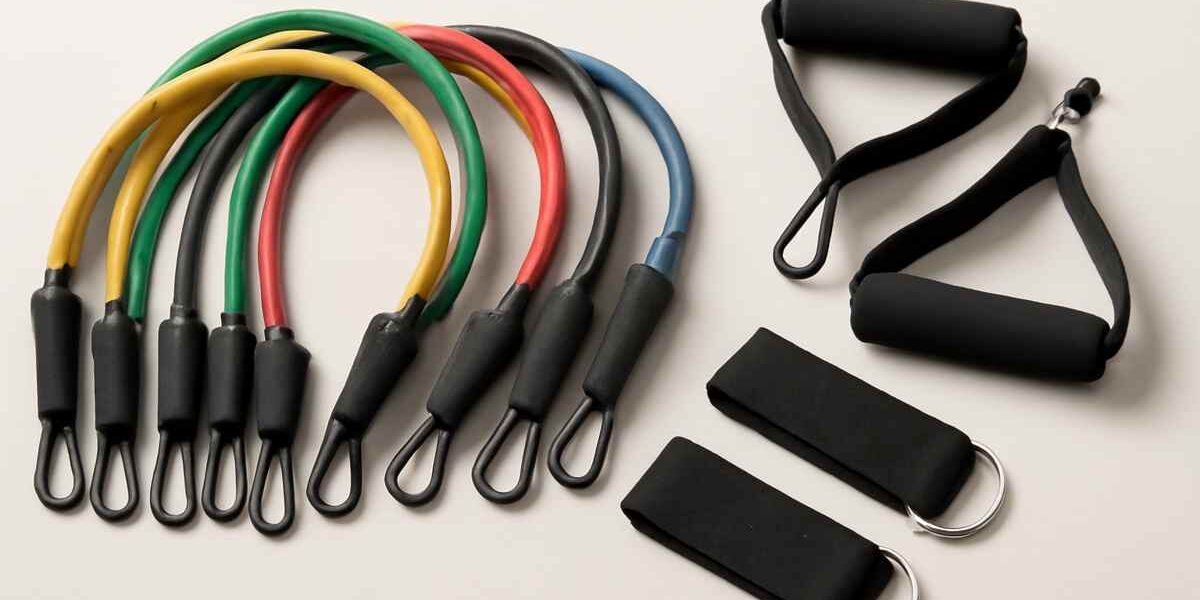 Best Resistance Bands for Beginners in 2026